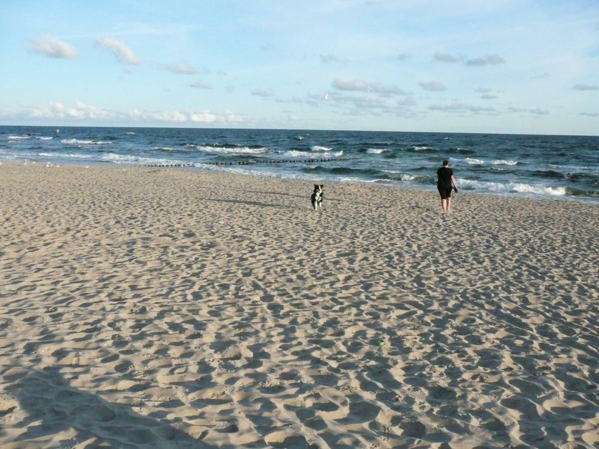 Gardenia Mare Baltic Dziwnow Leilighet Eksteriør bilde